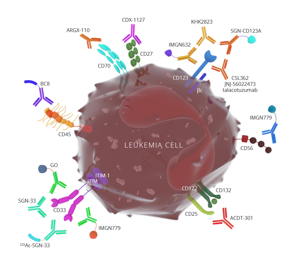 Antibodies and Leukemia: A quick overview